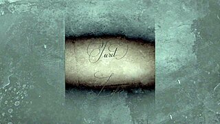 vintage hairy orgy double penetration beaver pounding madness 😱🍆💦