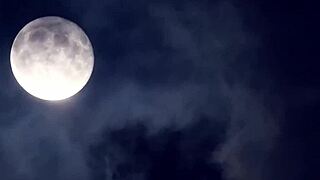 your dead friends rise from graves craving your wet pussy?