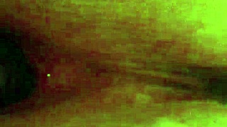 little friend stuffs dildo deep then offers her wet pussy for cum