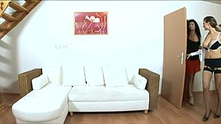 horny secretaries tarra white n stracy stone share monster cock