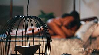 Breeding Nicole Kitt while wife naps!