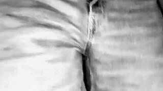 Sheer Tops Tease Beatboxing Babes in Wild Compilation