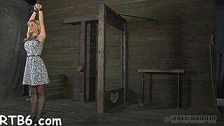 couple dives into bound penis sadomasochism rough play