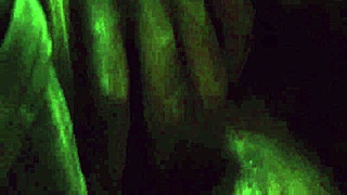 Fuck My Biology Teacher In Office!