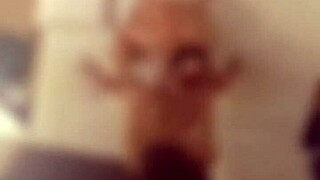 Casal Bi Leva Novinho Pauzudo Pro Motel, Ele Fode Muito A Esposa E Dá Gostoso O Cuzinho Pro Marido Bi