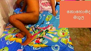 Black valentine 3 unfolds with a bbw wife craving monster cock action