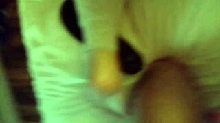 thick white ass gets fucked bent over in doggystyle assfucking