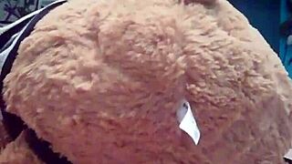 Would you like to be my teddy bear?