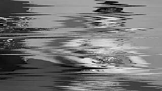 Delicious ass surrenders.