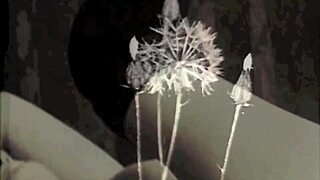 Vintage porn collection presented