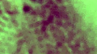 video from march 7 2017