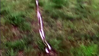 petite teen's boobs pop from tube top