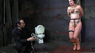 Explore free sadomasochism erotica in this narrative tale