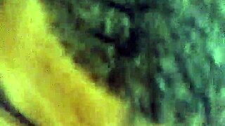 Quiet evening captured on february 22, 2017, at 10:35 pm