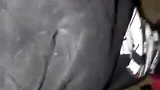 Creamy pussy in sloppy doggystyle action