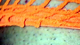 girl uses toys and gets cum on webcam