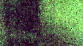 Cumslut in bunny outfit loves facials in snowy fun