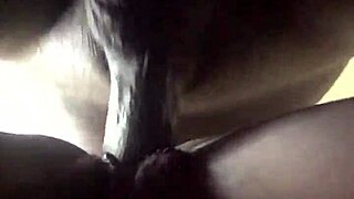 ace boogie explores tight ass and wet pussy