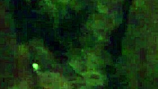 this hairy pussy is getting some fun with toys and vibrator