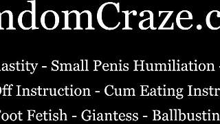 the only thing you are good for is being a slave in bdsm with humiliation and cum