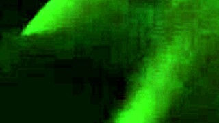 White girl sucks big black cock