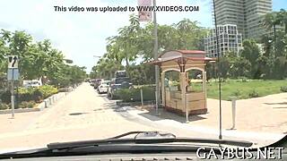 Subtle Homo Encounters For Free