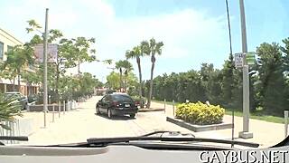 Subtle Homo Encounters For Free