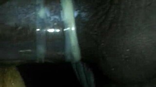 i saw a hairy beaver on that date