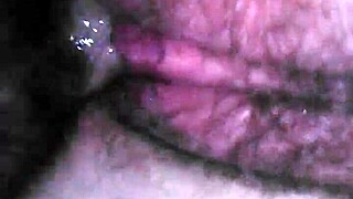 Talia getting her pussy licked and fucked in pov