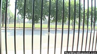 I got cum on tits from sexy ebony misty stone big cock fuck