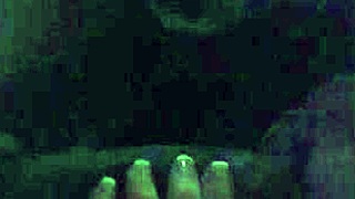 Doing a little 18+ smashing in Florida preview