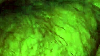 wife engages in oral activity with partner in amateur setting