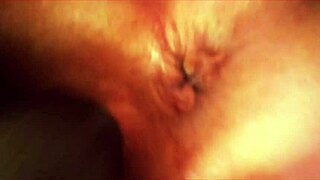 german milf couple on the boulevard, both bbw and fat