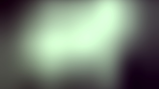 Tham Truong Vietnamese Self-Recorded Video