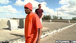 Man reluctant to suck black cock in gay sex