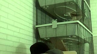 I Love Horny Piss Play On My Sofa