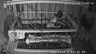 Watch The Cagecam Bondage Feed!