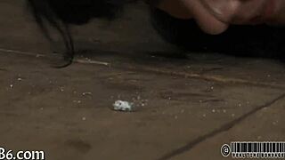 hardcore sadomasochism porn is intense