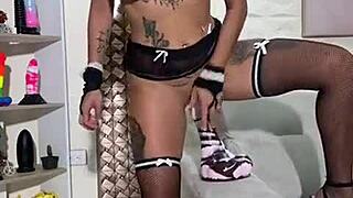 呃，我发现老板的玩具藏匿处，太调皮了...想玩吗？