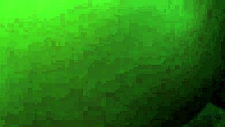 suck my big cock in the workshop?