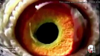 超肥大屁股狂扭，屁股控必看大臀福利！