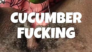 Cyndy Blackslave Fucks Cucumber and Squirts in Homemade Close-Up