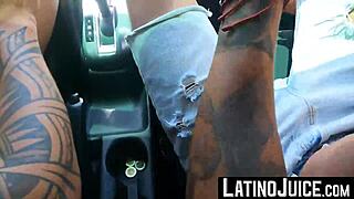 latino cain gomez bred hard outdoors by robert