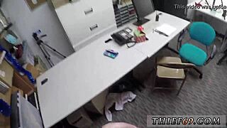 德国警察偷电池案三人行