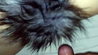 zorrita rica bends over for doggystyle pussy and assfucking hardcore action