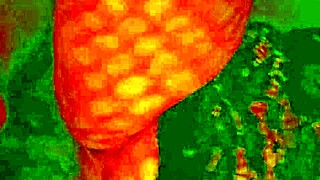 Angelg and Kuzz Halloween Special Part 2