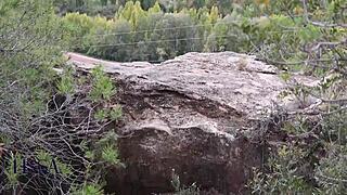 Outdoor Yoga Routine with a Stranger