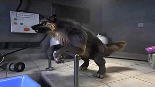 Intense H0rs3 Compilation Of Gay Furry Fucking Machines