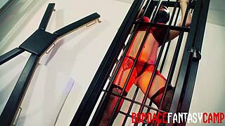 Mai bailey and krystal webb in fetish scene.