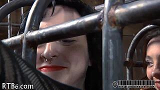 Check out this free sadomasochism erotica story with intense scenes. 😈